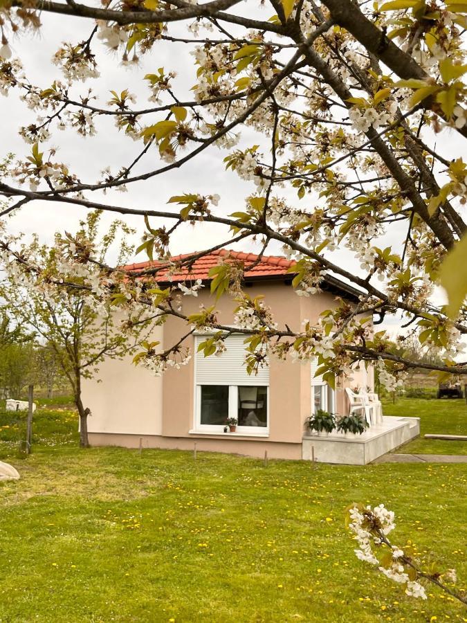 Apartmani Subotic Bosanska Gradiska Exterior photo